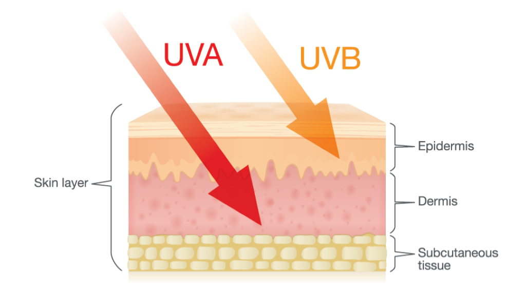 Tia UVB là gì? Ứng dụng của tia UVB trong đời sống