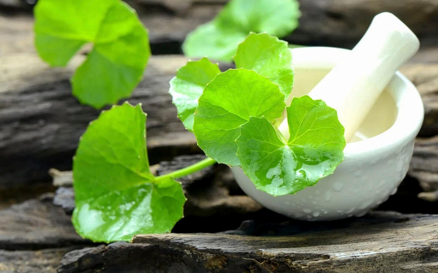 Gợi ý serum rau má trị mụn, dưỡng da hiệu quả